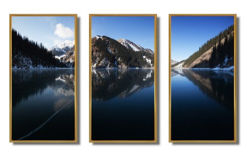 كيفية اختيار بانوهات الجدران المناسبة