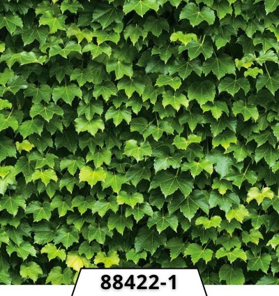 ورق الجدران الكوري بتصميم نقشات يُضيف لمسة من الرُقي تضفي جمالًا هادئًا على المساحات الداخلية