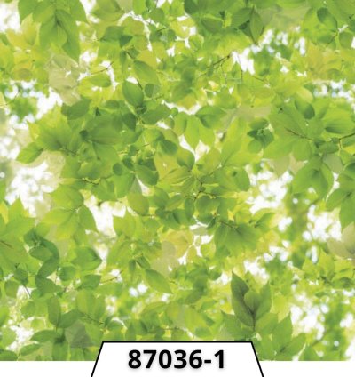 ورق الجدران الكوري بتصميم نقشات يُضيف لمسة من الرُقي تضفي جمالًا هادئًا على المساحات الداخلية